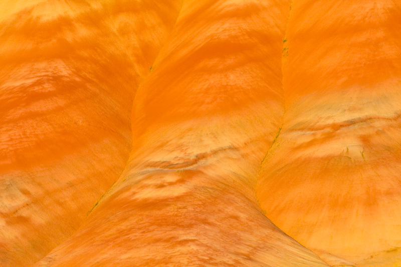 Detail Of The Painted Hills